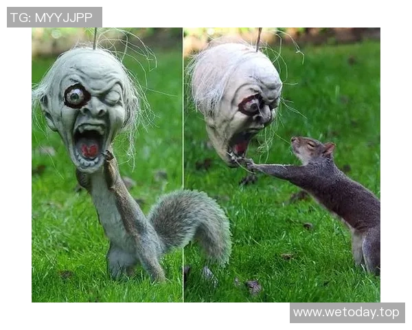 揭秘凯尔特人未知的一面：十大冷知识让你大开眼界